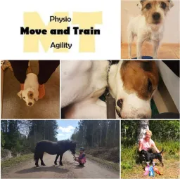 Move and Train