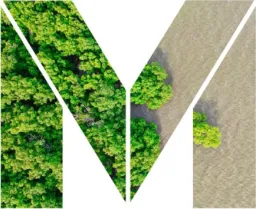 Mangrove Oy