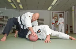 Reigando Budo ry