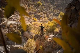 Wikitours Adventures Oman