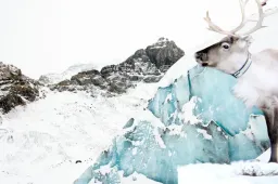 Kylmin Oy