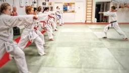 Kokkolan Karate