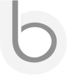 VT Belt