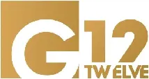 G12 - Business Setup in Dubai & UAE