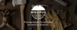 Mielipuu