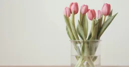 Le Flora Flowers