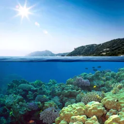 Dive Travel Finland