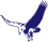 Akvila Osakeyhtiö