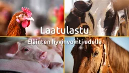 Laatulastu