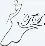 TL design