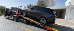 TRT Recovery