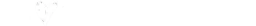 LattiaStore