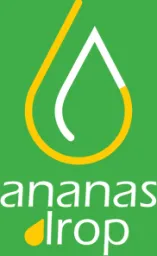 Ananasdrop