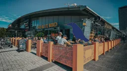 The Blue Bird