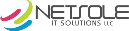Netsole IT Solutions LLC