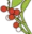 Ravintola Misteli Oy