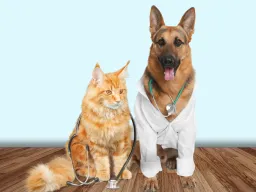 Primepaws.pet