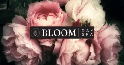 Day Spa Bloom