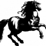 Ratsastuskeskus Teho