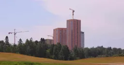 Saumapojat Oy