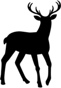 Vakuumikauppa