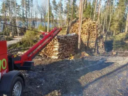 Treecut