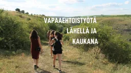 KVT