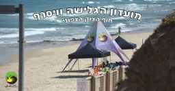 We Surf Camps