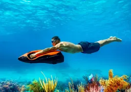SEABOB Qatar
