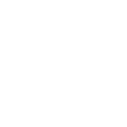 Roots Physio