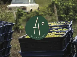 Asis Wines