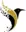 Bird Hills Tech- IT Services In Dubai
