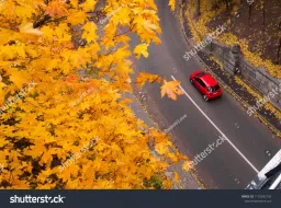 Scandia Rent Herttoniemi