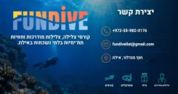 Fun dive- Diving in Eilat