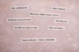 Arjen Apu ja Hyvinvointi Oy