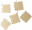 SensAsia Express