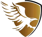 Best Solution Law Firm