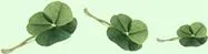Espoon Reumayhdistys ry