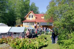 Lehtola