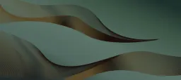 OK Salonki