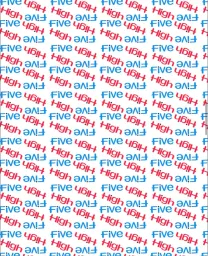 High Five Sports & Events