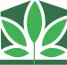 Plant B