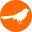 Lintukoto