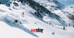 Westay Ltd