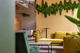 Yellow Corner Studios