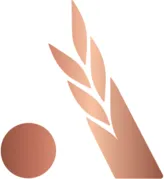 Alaca