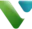 Voice International