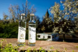 Aura Gold Water