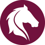 Usman Abdullah,Realtor