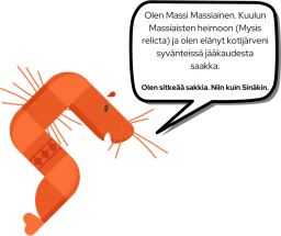 Aisapari ry
